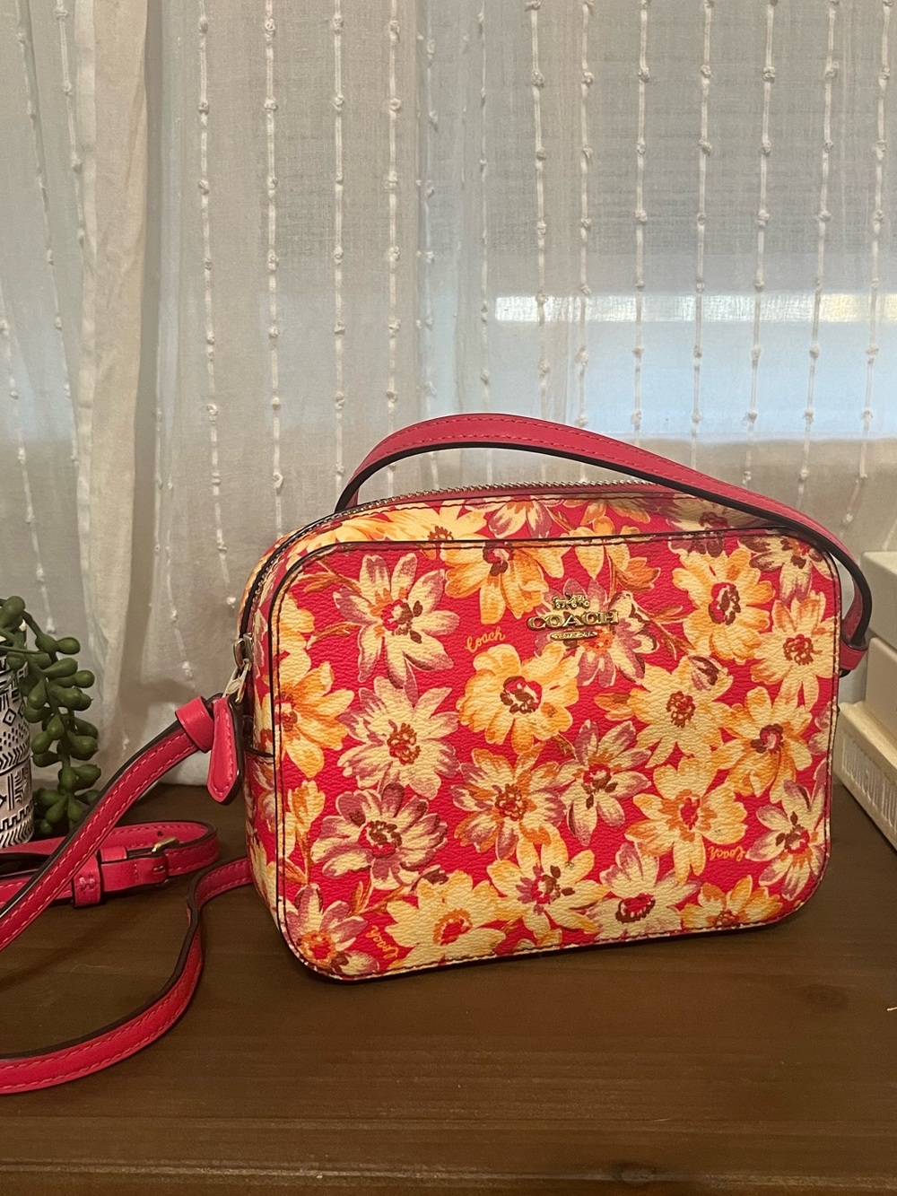 Coach Mini Camera Bag in the Vintage Daisy Script Print